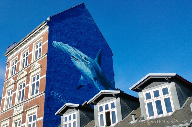 Eske Touborg, Hammerhaj @ Kirsten K Kester | MitLivsRejser.com
