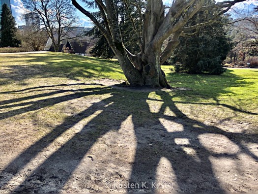 Botanisk Have i Århus @ Kirsten K Kester | MitLivsRejser.com