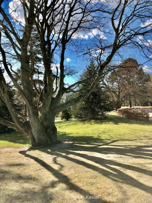 Botanisk Have i Århus @ Kirsten K Kester | MitLivsRejser.com