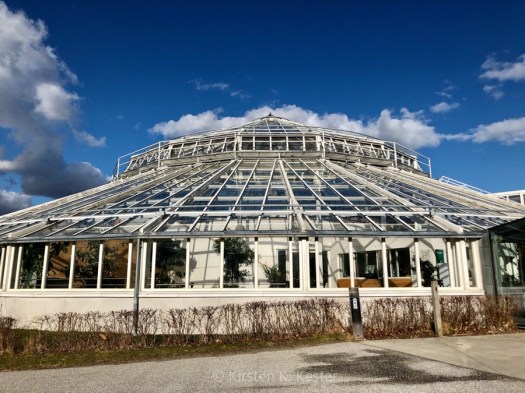 Botanisk Have i Århus @ Kirsten K Kester | MitLivsRejser.com