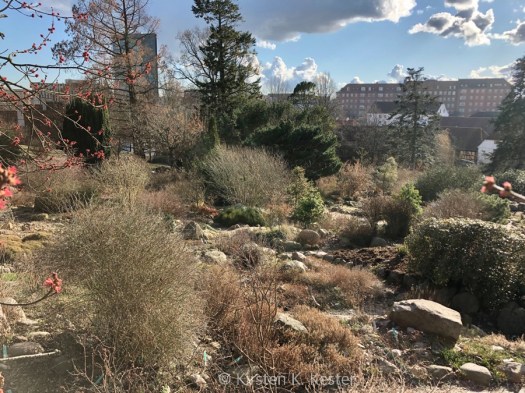 Botanisk Have i Århus @ Kirsten K Kester | MitLivsRejser.com