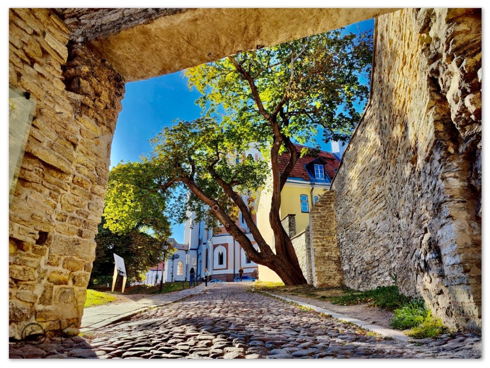 Den gamle bydel i Tallinn / Eventyrligt i det gamle Tallinn @ Kirsten K Kester | LivetsRejser.com